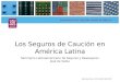 Los Seguros de Caución en América Latina Seminario Latinoamericano de Seguros y Reaseguros José de Vedia Buenos Aires, 24 de abril de 2013