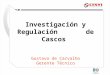 Investigación y Regulación de Cascos Gustavo de Carvalho Gerente Técnico