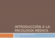 INTRODUCCIÓN A LA MICOLOGÍA MÉDICA UMG-MICROBIOLOGÍA II (2011) M. PAZ