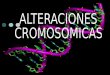 Las células somáticas de las plantas y de los animales por lo general tienen cromosomas apareados (2n), en otras palabras, dos cromosomas de cada tipo