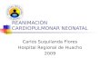 REANIMACIÓN CARDIOPULMONAR NEONATAL Carlos Suquilanda Flores Hospital Regional de Huacho 2009