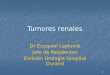 Tumores renales Dr Ezequiel Laplumé Jefe de Residentes División Urología Hospital Durand 1