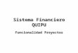 Sistema Financiero QUIPU Funcionalidad Proyectos