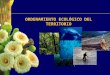 ORDENAMIENTO ECOLÓGICO DEL TERRITORIO. Ordenamiento Ecológico Objetivos Identificar un patrón de distribución de actividades sectoriales en el territorio