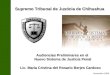 Lic. María Cristina del Rosario Berjes Cardoso Audiencias Preliminares en el Nuevo Sistema de Justicia Penal Supremo Tribunal de Justicia de Chihuahua