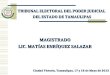 TRIBUNAL ELECTORAL DEL PODER JUDICIAL DEL ESTADO DE TAMAULIPAS MAGISTRADO LIC. MATÍAS ENRÍQUEZ SALAZAR Ciudad Victoria, Tamaulipas, 17 y 18 de Mayo de