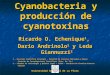 Cyanobacteria y producción de cyanotoxinas Ricardo O. Echenique 1, Darío Andrinolo 2 y Leda Giannuzzi 2 1.- División Científica Ficología – Facultad de
