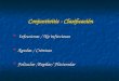 Conjuntivitis - Clasificación Infecciosas / No infecciosas Infecciosas / No infecciosas Agudas / Crónicas Agudas / Crónicas Folicular /Papilar/ Flictenular