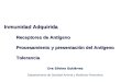 Inmunidad Adquirida Receptores de Antígeno Procesamiento y presentación del Antígeno Tolerancia Dra Silvina Gutiérrez Departamento de Sanidad Animal y