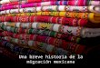 Una breve historia de la migración mexicana. UNA BREVE HISTORIA DE LA MIGRACIÓN MEXICANA Por lo general, el gobierno estadounidense ha oscilado entre