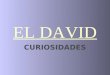 EL DAVID CURIOSIDADES