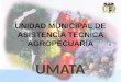 UNIDAD MUNICIPAL DE ASISTENCIA TECNICA AGROPECUARIA UMATA