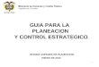 1 GUIA PARA LA PLANEACION Y CONTROL ESTRATEGICO ENERO DE 2010 OFICINA ASESORA DE PLANEACION