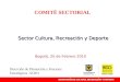 COMITÉ SECTORIAL Sector Cultura, Recreación y Deporte Bogotá, 25 de Febrero 2010 Dirección de Planeación y Procesos Estratégicos -SCRD