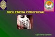 VIOLENCIA CONYUGAL Ligia Vera Gamboa. VIOLENCIA CONYUGAL Violencia doméstica, el enemigo en casa