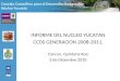Consejo Consultivo para el Desarrollo Sustentable Núcleo Yucatán INFORME DEL NUCLEO YUCATAN CCDS GENERACION 2008-2011. Cancun, Quintana Roo 3 de Diciembre
