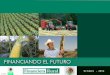 INICIO PROG PROD ESTRAT Octubre, 2012. INICIO PROG PROD ESTRAT 2 Financiera Rural forma parte de la banca de desarrollo del sector rural de México. Fue