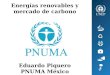 Energías renovables y mercado de carbono Eduardo Piquero PNUMA México