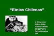 Etnias Indigenas