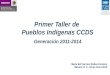 Primer Taller de Pueblos Indígenas CCDS Generación 2011-2014 Maria del Carmen Rodea Centeno México, D. F., 18 de Junio 2012