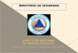 DIRECCION NACIONAL DE PROTECCION CIVIL MINISTERIO DE SEGURIDAD