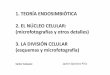 T. EndosimbióTica, NúCleo Celular Y DivisióN Celular 2º Bto