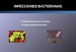 INFECCIONES BACTERIANAS -Staphylococcus aureus -Angiomatosis bacilar