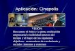 Aplicación: Cinepolis VISIÓN: Buscamos el éxito y la plena realización empresarial e individual atraves del tiempo y el logro de los siguientes objetivos