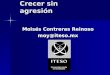 Crecer sin agresión Moisés Contreras Reinoso moy@iteso.mx