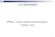 1 La identidad Mtro. Carlos Rafael Rea Rodríguez CEMIC-UAN