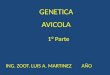 GENETICA AVICOLA ING. ZOOT. LUIS A. MARTINEZ AÑO 1° Parte