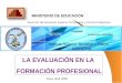 LA EVALUACIÓN EN LA FORMACIÓN PROFESIONAL Dirección de Educación Superior Tecnológica y Técnico Productiva MINISTERIO DE EDUCACIÓN Lima, abril 2009