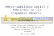 Responsabilidad Social y Ambiental de las Compañias Mineras presentado por Anida Yupari Taller Plan de Desarrollo en el área de influencia de la Cía. Minera