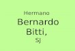 Hermano Bernardo Bitti, SJ. Bernardo Bitti nació en Italia