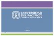 Taller LA DISCRIMINACIÓN EN EL PERÚ: INVESTIGACIÓN Y REFLEXIÓN Lima, 24 de junio CENTRO DE INVESTIGACIÓN DE LA UNIVERSIDAD DEL PACÍFICO