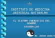 INSTITUTO DE MEDICINA UNIVERSAL NATURALMA EL SISTEMA ENERGETICO DEL HOMBRE EVIDENCIAS Dr. Javier Lauro A