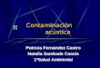 Contaminación acústica Patricia Fernández Castro Natalia Sambade Casais 1ºSalud Ambiental