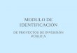MODULO DE IDENTIFICACIÓN DE PROYECTOS DE INVERSIÓN PÚBLICA