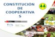 CONSTITUCIÓN DE COOPERATIVAS. ASPECTOS ADICIONALES APLICABLES A CONSEJOS Y COMITÉS