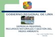 GERENCIA REGIONAL RECURSOS NATURALES Y GESTIÓN DEL MEDIO AMBIENTE GOBIERNO REGIONAL DE LIMA Ing. Luis Castillo Polo Gerente
