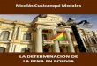 Determinacion de la pena en Bolivia