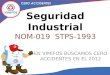 Manual seguridad Industrial