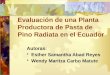 Evaluación de una Planta Productora de Pasta de Pino Radiata en el Ecuador Autoras: Esther Samantha Abad Reyes Wendy Maritza Carbo Matute