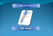 Argentina y su división política