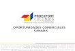 OPORTUNIDADES COMERCIALES CANADA. Descripción de Mercado Canadiense Relación Comercial Colombia - Canadá Oportunidades y Tendencias comerciales en Canadá