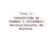 Tema 5: PERCEPCIÓN DE FORMAS Y PATRONES: Reconocimiento de Objetos