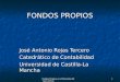 Fondos Propios en el Borrador del Nuevo PGC 1 FONDOS PROPIOS José Antonio Rojas Tercero Catedrático de Contabilidad Universidad de Castilla-La Mancha