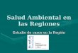 Salud Ambiental en las Regiones Estudio de casos en la Región Loreto