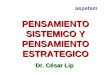 PENSAMIENTO SISTEMICO Y PENSAMIENTO ESTRATEGICO Dr. César Lip aspefam