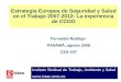 Estrategia Europea de Seguridad y Salud en el Trabajo 2007-2012: La experiencia de CCOO Fernando Rodrigo PANAMÁ, agosto 2008 CSA-OIT Instituto Sindical